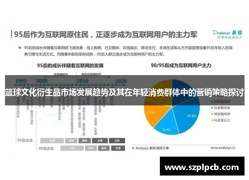 篮球文化衍生品市场发展趋势及其在年轻消费群体中的营销策略探讨